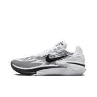 NIKE耐克篮球鞋ZOOM舒适耐磨低帮男鞋运动鞋FJ8914-100 C