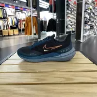 NIKE耐克跑步鞋AIR WINFLO SHIELD轻便透气低帮男鞋DM1106-002 D