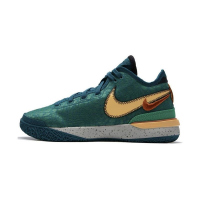 NIKE耐克篮球鞋ZOOM LEBRON NXXT GEN EP男鞋运动鞋DR8788-301 D