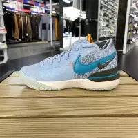 NIKE耐克篮球鞋ZOOM LEBRON NXXT GEN EP低帮男鞋DR8788-400 D