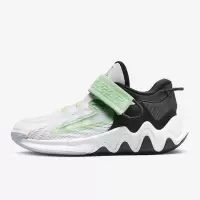 NIKE耐克篮球鞋GIANNIS IMMORTALITY 2 (PS)大童鞋DQ1942-101 D