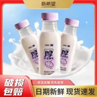 新希望琴牌芋泥厚乳今日鲜奶铺低温生牛乳香芋鲜奶255ml*6瓶早餐奶