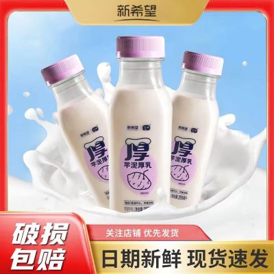 新希望琴牌芋泥厚乳今日鲜奶铺低温生牛乳香芋鲜奶255ml早餐奶