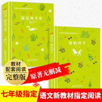 骆驼祥子和海底两万里正版书 原著 初中版七年级下册必读 正版老舍全套初一课外书籍阅读名著初中生和套装2二人民教育出版社人