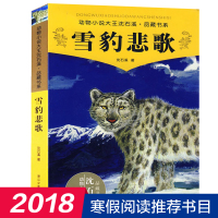 雪豹悲歌/动物小说大王沈石溪品藏书系 沈石溪动物小说单本全集系列 小学生课外阅读书籍4-6年级推荐 儿童读物8-10-1