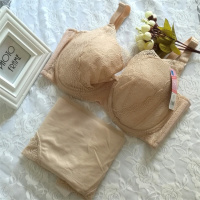 大码薄款蕾丝文胸套装大罩杯胖mm女士内衣套装罩杯透气胸罩