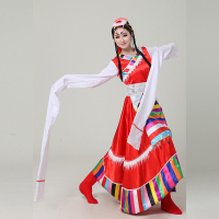 藏族舞蹈演出服装女水袖民族风广场舞长裙套装西藏衣服
