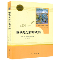 钢铁是怎样炼成的 奥斯特洛夫斯基著 名著阅读课程化丛书 新编语文教材配套初中八年级下册阅读名著 人民教育出版