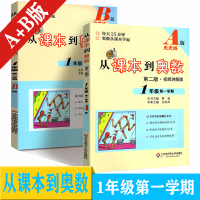 从课本到奥数一年级学期 A版天天练+B版周周练 套装2本 第二版 1年级上册小学数学竞赛奥赛培优教材思维训练数学竞赛