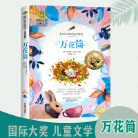 [国际大奖系列]万花筒正版国际大奖儿童文学四年级三年级课外书bi读美绘典藏版小学生阅读书籍读物8-10-12岁故事书