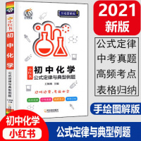 2021新版小红书手绘图解版初中化学公式定律与典型例题初中化学知识点提要整理大全中考适用瓜二传媒初中化学辅导书资料