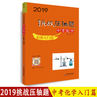 2019挑战压轴题 中考化学 轻松入篇 初一初二初三七八九年级初中学生培优复习冲刺教辅书 真题模拟题 课外复习辅导巩固