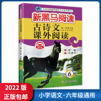 [正版2022版]新黑马阅读古诗文课外阅读 小学六年级 6年级阅读专项训练练习题语言积累思维拓展提升天天练辅导有声阅