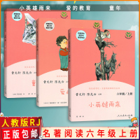快乐读书吧 统编语文6年级上册 六年级上册爱的教育 童年 小英雄雨来3本套装 人教版RJ 名著阅读课程化丛书 快乐读书