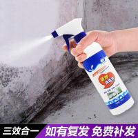 兰康保 墙体除霉王墙面除霉剂 500ml