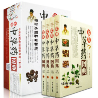 正版 实用中药图典 中药图谱 中医入 认识辨别中药 中药知识 家庭 养生书籍R