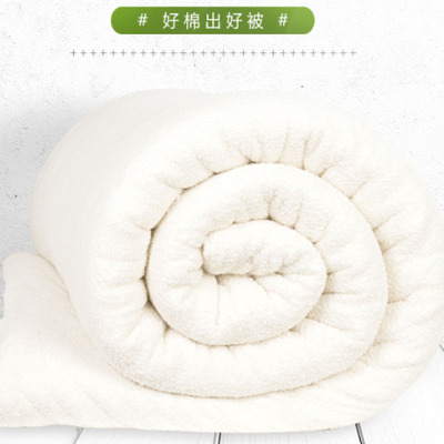 皖川四季被子棉被芯棉花被垫被4斤棉胎WC-011白色 1.5*2.0m 白色 1.5*2.0m