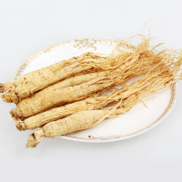 善循力优质长白山生晒人参 人参整个干货人参500克 包邮