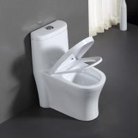 抽水陶瓷马桶家用防臭卫生间坐厕静音节水座喷射超漩虹吸式坐便器纳米金刚钻釉面脲醛盖板300坑距其他/other