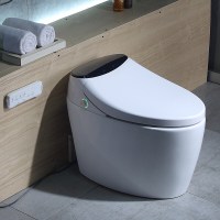 多功能智能马桶家用一体式遥控全自动翻盖即热冲洗烘干电动坐便器波迷娜BOMINA