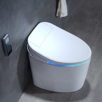 全自动智能马桶一体即热式遥控清洗烘干家用小尺寸智能坐便器波迷娜BOMINA