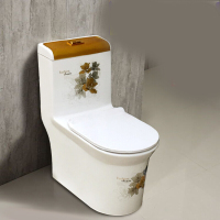 蹲坐两用坐便器虹吸式马桶金边双用喷射坐便器新款节水密封后排高架坑距新款波迷娜BOMINA