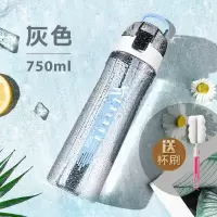 富光(FGA)带吸管水杯ins风大人女孕妇产妇创意网红成年韩版可爱水杯子 灰色750ML[可拆卸式吸管]