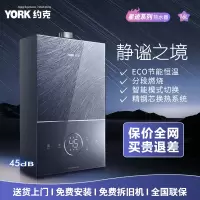 约克(YORK)燃气热水器16升家用强排恒温变频智控节能省气JSQ30-F16A