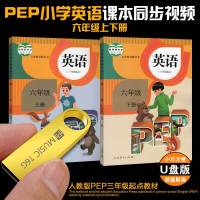 U盘版 六年级PEP英语上下册人教版特级教师辅导课本同步教材原版 金色 六年级英语上下