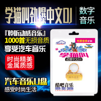 学猫叫劲爆中文DJ车震重低音销魂慢摇舞曲车载USB汽车音乐U盘歌曲车载mp3音频