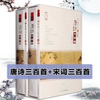 正版唐诗宋词三百首300首古诗词国学经典朗诵读汽车载CD光盘碟片