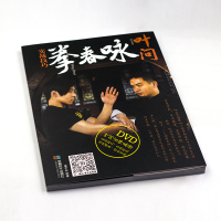 正版 叶问咏春拳实战技巧武术拳术教学视频教程教材书+DVD光盘