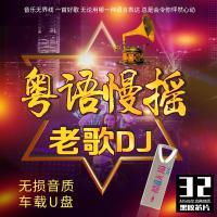 DJu盘粤语老歌中文DJ劲爆舞曲重低音无损音质WAV非汽车载cd光盘