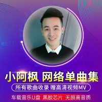 车载u盘 网红小阿枫专辑现场MV 2019小阿枫歌曲音乐U盘