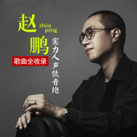 赵鹏专辑车载u盘赵鹏歌曲U盘高音质发烧音乐男声HIFI无损音质优盘