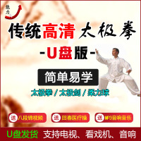 太极拳剑教程视频U盘简易入门吴阿敏陈氏杨氏24式零基础初学教学