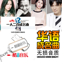 汽车CD音乐车载U盘一人二首成名曲流行歌曲经典老歌高音质16g内存