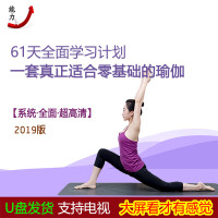 瑜伽教程视频U盘教学零基础入门全套高清初学者优盘家庭自学