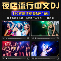 车载U盘带歌曲 无损音乐优盘MP4高清诱惑中文DJ舞曲汽车用usb盘