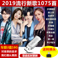 汽车载U盘带歌曲 2019热门抖音流行新歌榜无损音车mp3汽车用USB盘