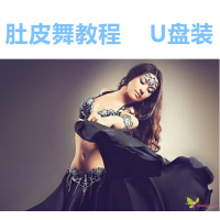 高清肚皮舞视频教程 u盘装 初级入门到中高级 0零基础肚皮舞教程