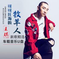 王琪专辑车载音乐U盘可可托海的牧羊人车载无损歌曲MP3优盘