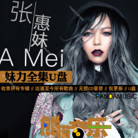张惠妹U盘全集专辑汽车载U盘音乐歌曲mp3经典老歌CD无损音质wav