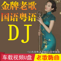 DJu盘粤语老歌国语流行中文DJ劲爆舞曲重低音无损音质车用USB优盘