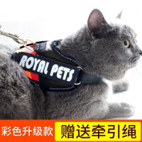 猫咪牵引绳防挣脱专用溜猫绳遛猫绳背心式背带项圈栓小猫绳子猫链