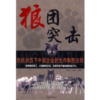 [正版二手]狼团突击