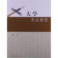 【正版二手】大学书法教程