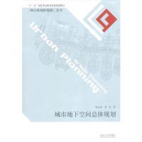 【正版二手】城市地下空间总体规划/城市规划新境域丛书