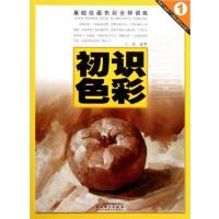 【正版二手】基础绘画色彩全程训练（初识色彩）