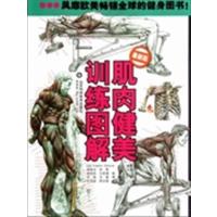 [正版二手]肌肉健美训练图解